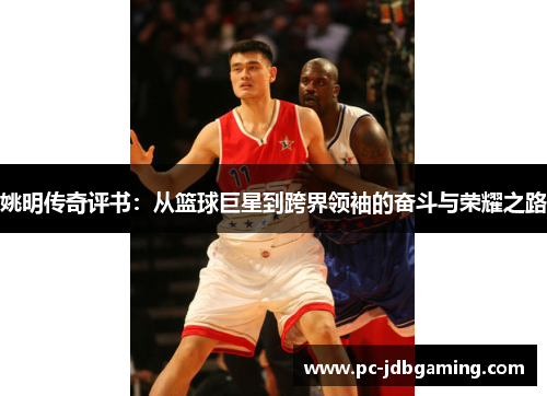 姚明传奇评书：从篮球巨星到跨界领袖的奋斗与荣耀之路