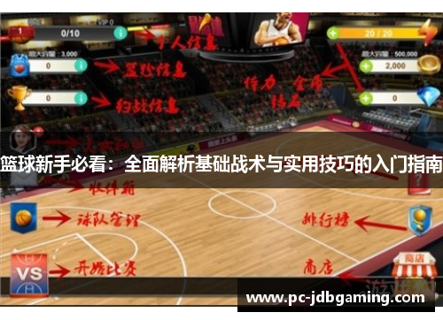 篮球新手必看：全面解析基础战术与实用技巧的入门指南