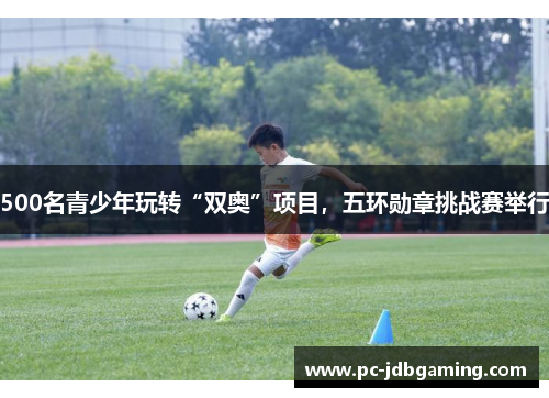 500名青少年玩转“双奥”项目，五环勋章挑战赛举行